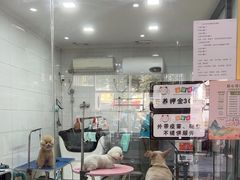-圆子宠物