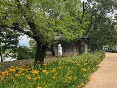 -楠溪江风景名胜区