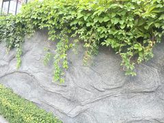 -中国中医科学院西苑医院-地下停车场