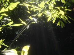 -外滩