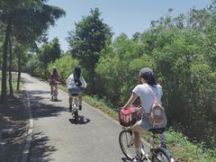 -上海长兴岛郊野公园