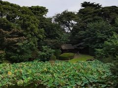 -东京国立博物馆