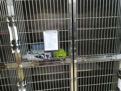 -创凡宠物医院·骨专科  猫科中心(西乡分院)