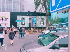 -BLACKSWAN黑天鹅(环球店)