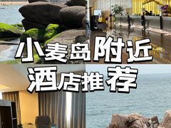 -青岛得宝湾维景国际大酒店(五四广场奥帆中心店)