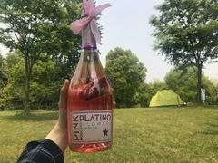 -崇明东平国家森林公园烧烤房车露营地