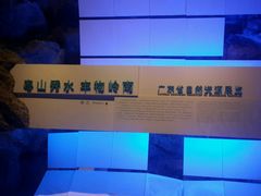 -广东省博物馆
