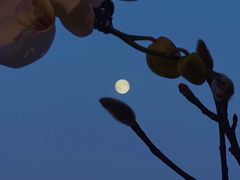 -青岛第三海水浴场