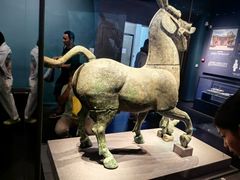 -广西壮族自治区博物馆