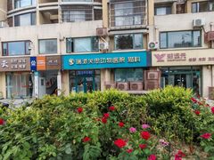 -瑞派·关忠动物医院·猫专科·犬专科(三环新城店)