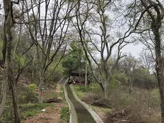 -青龙山国家森林公园