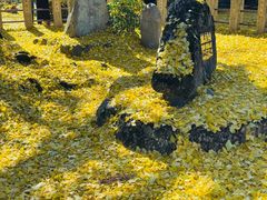 -医王山·飞騨国分寺