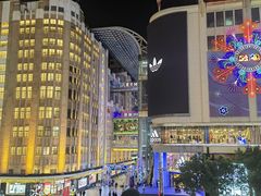 -江边城外烤全鱼(世茂广场店)