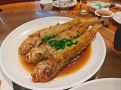 香煎马头鱼-和记菜馆