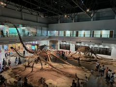 -自贡恐龙博物馆