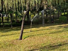 -深圳龙潭公园