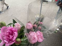-循礼门鲜花花市(武汉循礼门店)