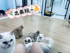 -1013 PET SHOP 宠物商店(近铁城市广场店)