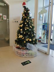 -青苗儿童口腔(长楹天街购物中心)