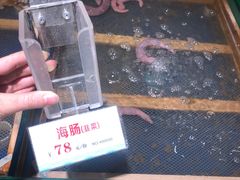 -永红源啤酒·烧烤·海鲜·大排档(青特城店)