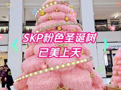 -北京SKP