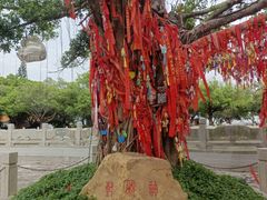 -南沙天后宫景区