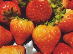 -菜园坝水果市场