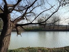 -上海佘山国家森林公园天马山园