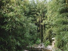 -月坛公园
