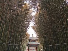 -红螺寺