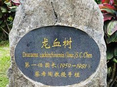 -中国科学院西双版纳热带植物园