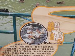 -常州淹城野生动物世界