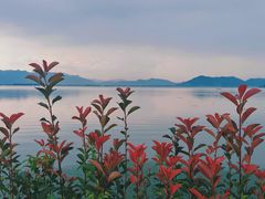 -东钱湖旅游度假区