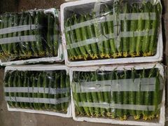 -江杨农产品批发市场