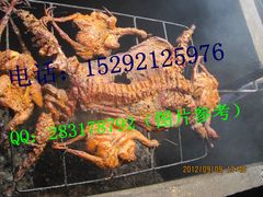 -大京袁记烤全羊农家(大京水库店)