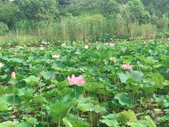 -永和大王(万顺路店)