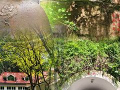 -深圳国际园林花卉博览园