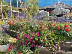 -花溪雨·森林餐厅(石基店)