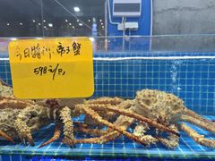 -大东海海鲜酒楼(渔人码头总店)