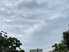 -黄兴公园