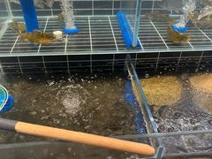 -西山人家·二十年老字号农家菜(旺山店)