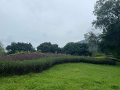 -风云岭森林公园