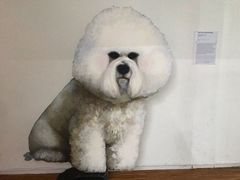 -蓬皮杜艺术中心