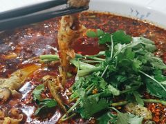 红汤水煮黄辣丁-陈胖子鱼庄(黄辣丁新津店)