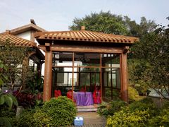-南宁花花大世界景区