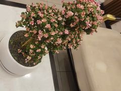 -正清和·推拿养生(二七广场店)