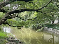 -江心屿景区