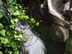 -大阪海游馆