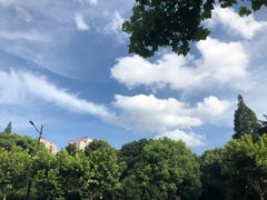 -久萌教培·仙霞网球中心官方培训
