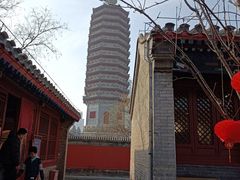 -西海子公园